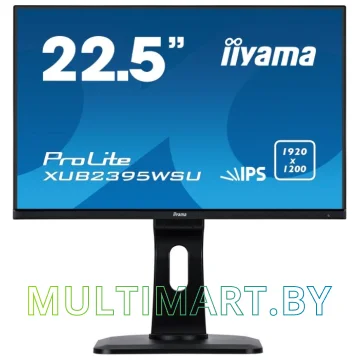 Монитор Iiyama ProLite XUB2395WSU-B1